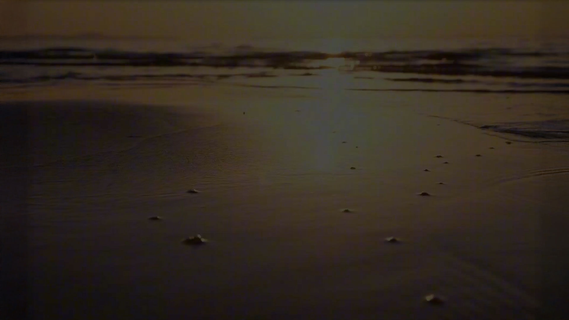 ic-bg-multiplica-inversionistas-1920x-0